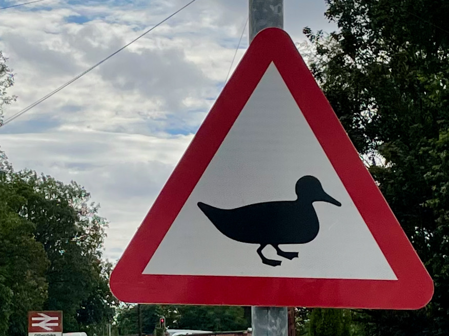 New Wildfowl warning sign on Station Road, Gilberdyke